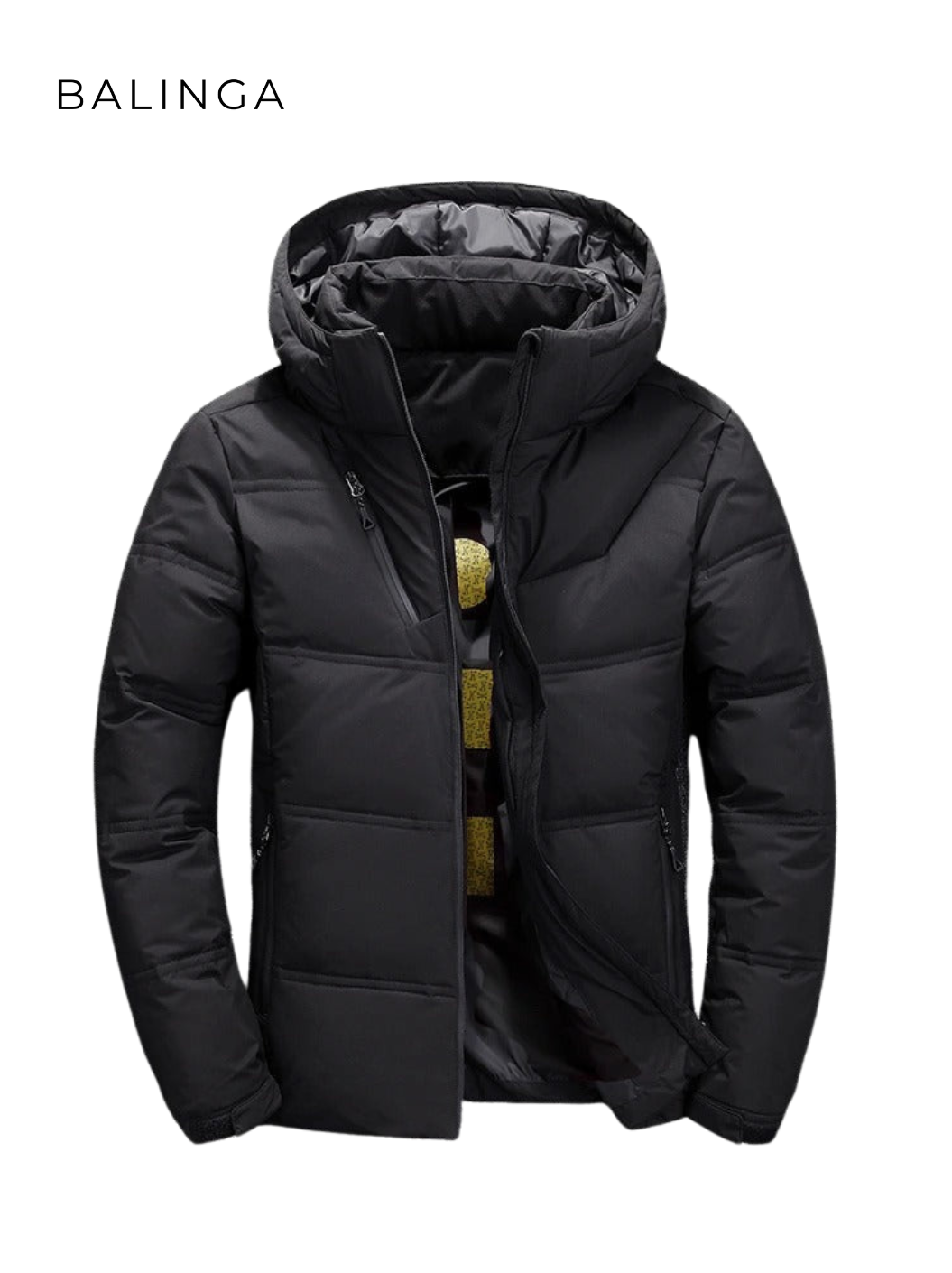 NordicShield™ | Die Herren Winter-Daunenjacke